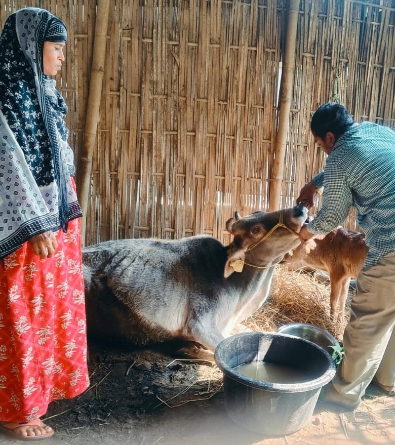 Family support and community care